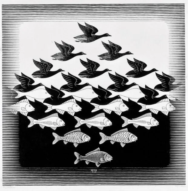 Tentoonstellingen deze zomer: Escher