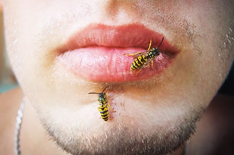 Hoe kan je je beschermen tegen wespen?