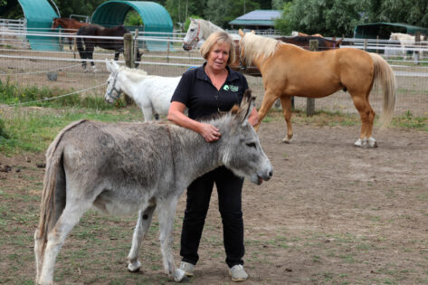 Marina vangt in The Old Horses Lodge verwaarloosde paarden en kwetsbare mensen op: ‘Mens en dier zijn hier elkaars spiegel’