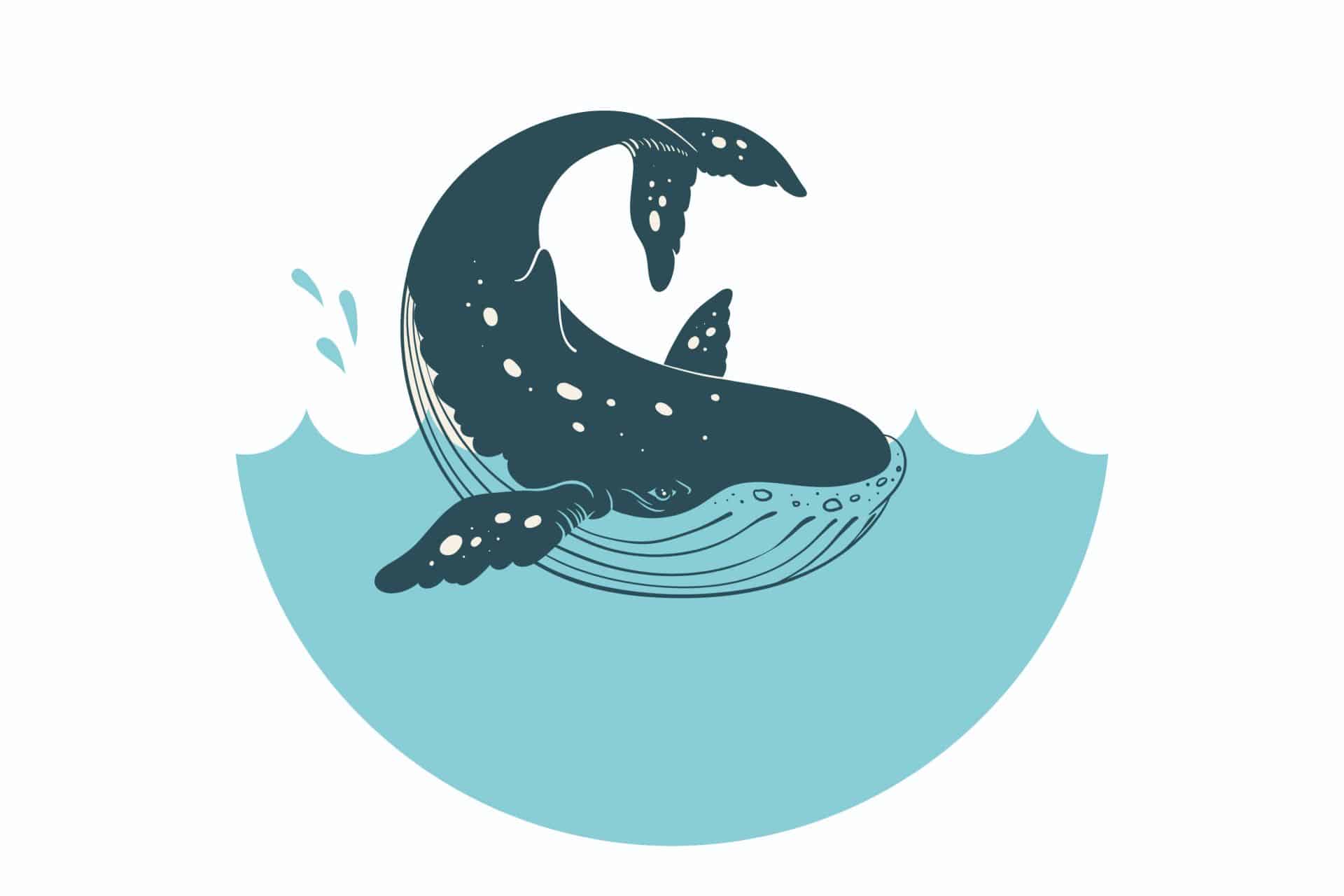 Natuurlijke Intelligentie als wegwijzer: over walvissen en wat wij van hen kunnen leren